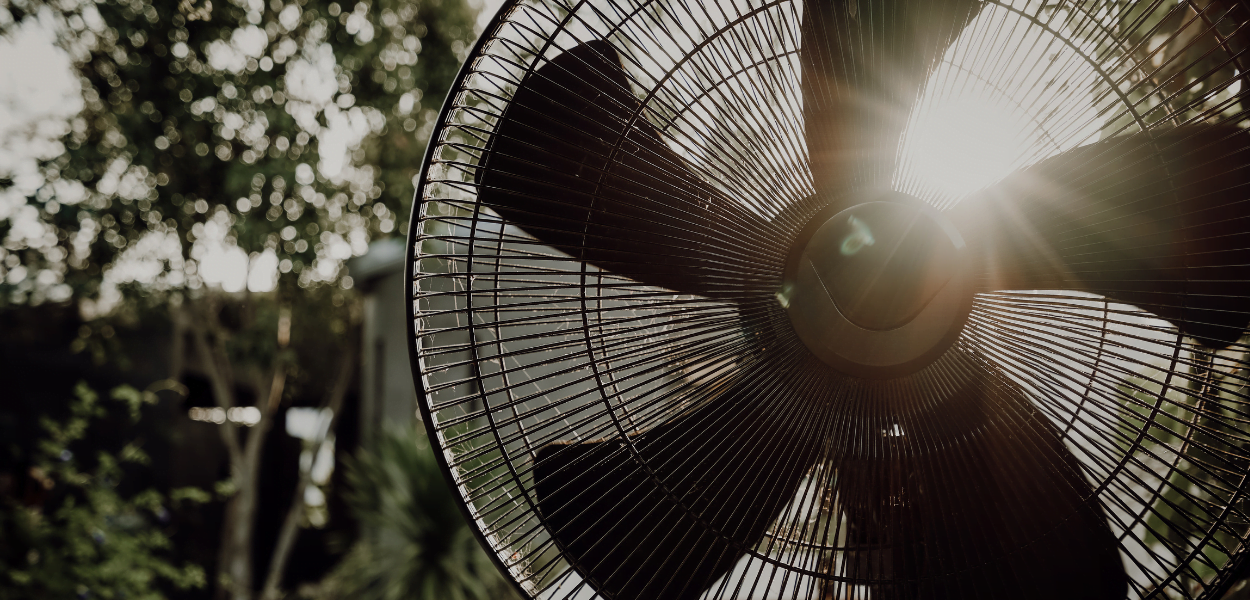 3 types of fans that are perfect for your home