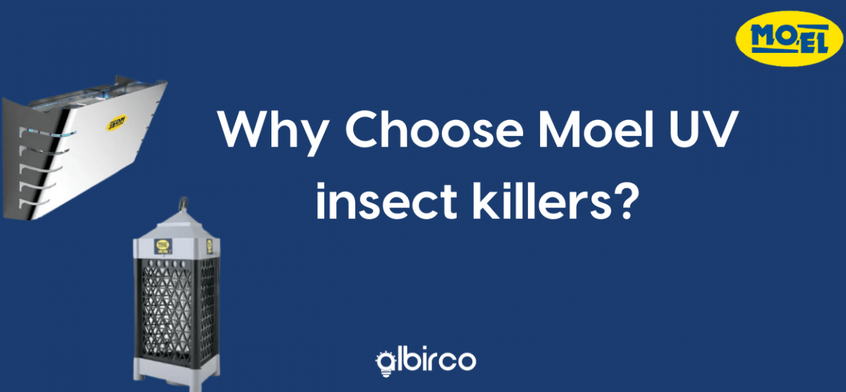 How do Moel UV insect killers help your restaurant stay safe?
