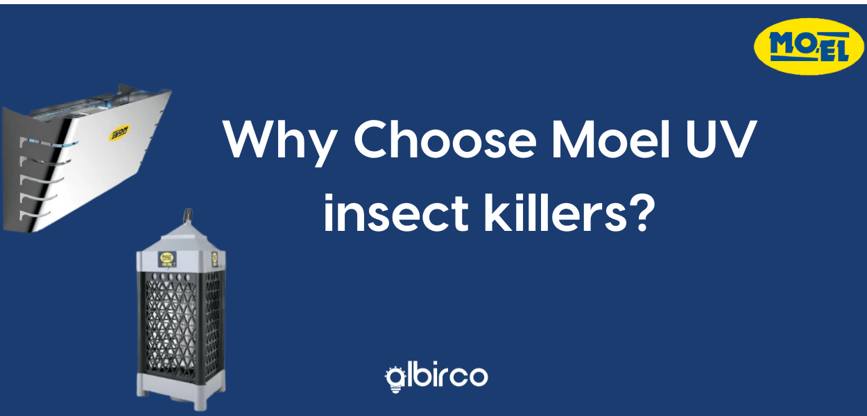 How do Moel UV insect killers help your restaurant stay safe?